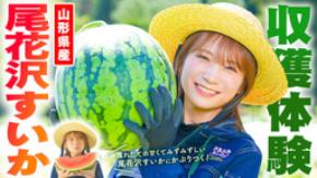 秋元真夏が山形県で尾花沢すいかを収穫！ シャリ感と甘さが魅力の夏すいかにかぶりつく