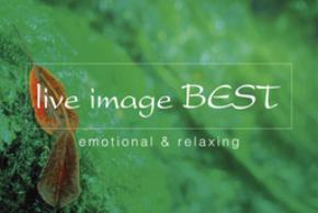 「ライブイマージュ・コンサート」に、 REAL TRAUM、Budo、石井琢磨がオープニングアクトとして出演決定！