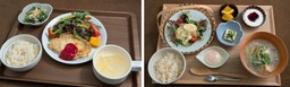 森永乳業「タニタ食堂監修のデザート」シリーズ発売15周年