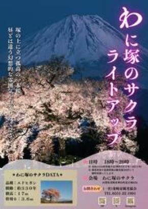 樹齢300年を超える一本桜~「わに塚のサクラ」ライトアップ2026