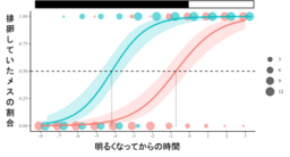メダカの排卵のタイミングは環境で変わる