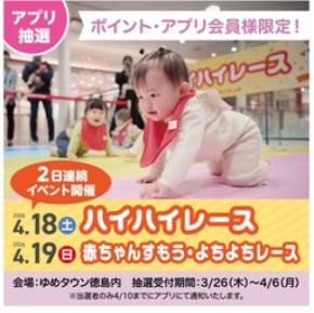 総勢225名の赤ちゃん大イベント! ハイハイレース、よちよちレース、赤ちゃんすもうで成長を祝おう!