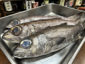 熱海ミニ横丁、4周年を迎えさらなる進化へ! 累計来場者数6万人突破!料理100種以上!酒1,000種以上!