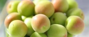 日本一の収穫量を誇る和歌山県の梅をＪＡタウンで販売開始！