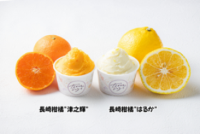 食品ロス削減に貢献する新商品！規格外の長崎県産柑橘「はるか」「津之輝」を使用したジェラートが誕生 