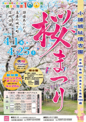 “日本さくら名所100選”で春を満喫―「小諸市桜まつり」開催!小諸城址懐古園で夜桜ライトアップも