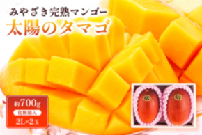 宮崎県産完熟マンゴー｢太陽のタマゴ｣を期間･数量限定でJAタウンにて販売!先着100個が送料負担なし&特別価格