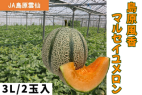 長崎県産の「島原風香 マルセイユメロン」がJAタウンのショップ「もぐもぐながさき」に初登場!