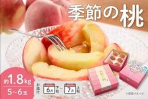桃の季節到来!山梨県産「季節の桃」を 産地直送通販サイト「JAタウン」で予約販売中!