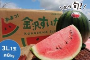 砂丘地が育てる、甘さとシャリ感が特長の石川県産「金沢すいか」を JAタウン「かが・のと味自慢」で販売中!
