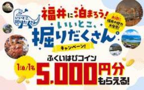 福井県が宿泊キャンペーンを開催!1人1泊あたり5000円分のデジタル地域通貨進呈!