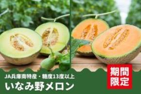 糖度13度以上！　今年も兵庫県産「いなみ野メロン」（青肉・赤肉）の予約販売開始。