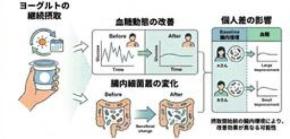 ヨーグルトの継続摂取による血糖コントロール改善と、腸内細菌叢の関与を、大規模介入研究により示唆