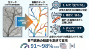 血管の複雑な形をAIで自動測定する新ツールを開発