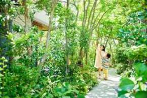 積水ハウスの庭づくり「５本の樹」計画 25年間の成果をまとめたホワイトペーパーを7月14日より公開