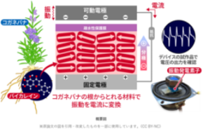 植物由来の分子で環境発電