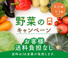 8月31日は「野菜の日」!産地直送通販サイト 「JAタウン」で「野菜の日キャンペーン」を実施