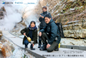 【秋田県立大学･雪印メグミルク】腸内細菌に新しいD-アミノ酸合成酵素を発見