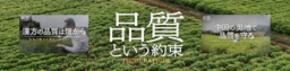 ツムラ、生薬の栽培・調達から医療現場まで 全工程を伝える 動画シリーズ「品質という約束」を公開