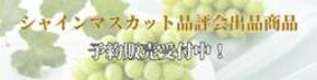 ＪＡタウン「小さなＹＡＭＡＧＡＴＡマルシェ」で品評会出品シャインマスカットの予約販売開始！