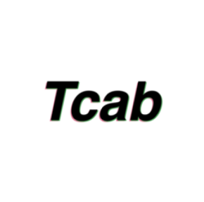 Tcab ティーキャブ 200カ国の運転資格の自動判定プログラムをリリース