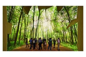 【２０２７年国際園芸博覧会】住友林業館「ひゃくの森」体験ストーリーと最新展示イメージを初公開