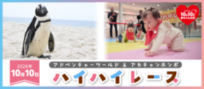 ペンギンのよちよち歩きが開会宣言？！「アドベンチャーワールド＆アカチャンホンポ」ハイハイレース初開催
