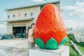 魅力あふれる奈良市の様々なエリアを紹介する特設サイト「奈良Go Round（ゴーラウンド）」。