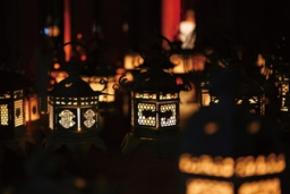 「秋夜の奈良旅2026」10月31日（土）～11月28日（土）の毎週土曜日に開催