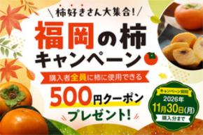 ｢柿好きさん大集合!福岡の柿キャンペーン｣をJAタウン｢博多うまかショップ｣で開催!秋王や富有柿を取り揃える