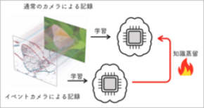 【立教大学】Eventカメラからの知識蒸留で、 AIに「形を見る力」を与える
