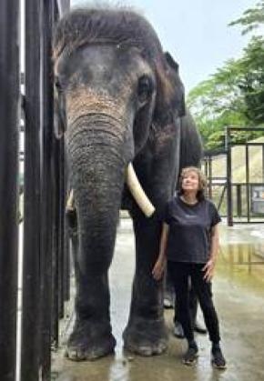 宇都宮動物園で、ゾウをもっと知る2日間