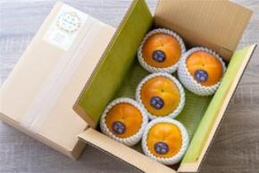 「太秋(たいしゅう)柿」の販売を JAタウンショップ「JA全農かながわ」で開始!