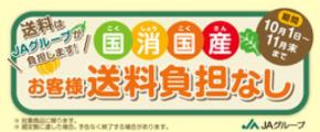 「送料負担なし」の旬の山形県産農畜産物が８０品以上！ JAタウン「小さなYAMAGATAマルシェ」で販売中！