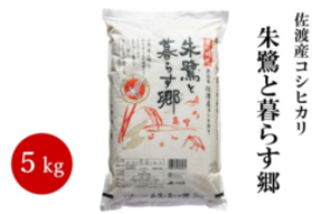 朱鷺が舞う佐渡から、米・柿・みかんをお届け！ 佐渡産の秋の味覚を「ＪＡタウン」で販売中