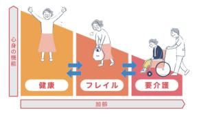 猛暑で進行する夏フレイルとは？ 運動と魚肉ソーセージで守る健康習慣