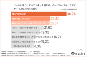 「もっと一緒に過ごせばよかった」その前に　犬との日常と別れを見つめ直す飼い主調査