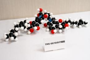ペニシリンから98年、西表島の黒カビが拓く脳梗塞治療の新たな可能性