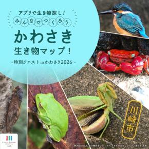 「セミ３種類撮ったらプレゼント当選？ 川崎市が「生き物探し」で夏休みイベント開催中」