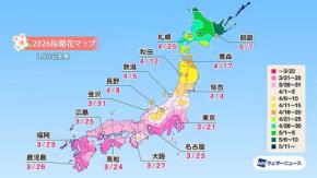 2026 桜 開花予想☆　東京 3/21から開花　京都 大阪 3/27～　札幌 4/25～　北日本は春先の高温で1週間以上早い開花も