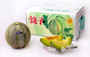 千葉県 銚子メロン 6/1~出荷 6/8~直売所販売 6/21@犬吠テラスでフェス☆ 濃厚な甘さ なめらかな果肉 豊かな香りと果汁をいまこそ体感♪
