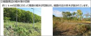 JR北海道 釧網線 通信ケーブル木柱や線路周辺樹木の切断行為を警察に被害相談「悪質と判断される行為は 警察と連携し厳正に対処」