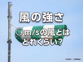 「風速◯メートル」とはどれくらい?風の強さの目安と影響