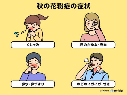 秋の花粉症の代表的な症状
