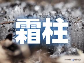 思わず踏みたくなる!冬の風物詩「霜柱」はどうやってできる?