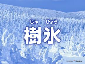 冬の芸術「樹氷」ガイド｜仕組みや条件、見られる場所、温暖化の影響を解説