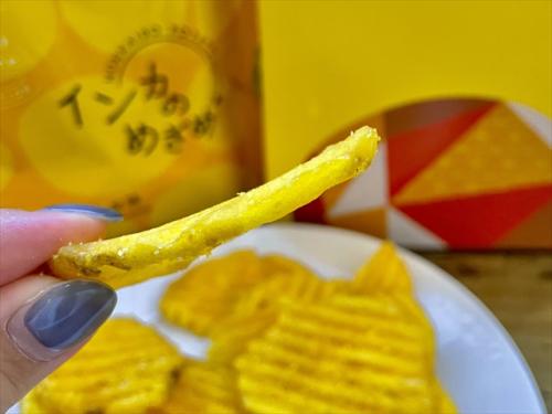 大阪のお土産お菓子 ポテチなのにジューシー おしゃれで日持ちもする グラン