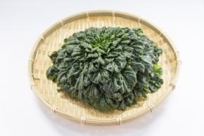 「タアサイ」ってどんな野菜？おすすめの食べ方と栄養を管理栄養士が解説