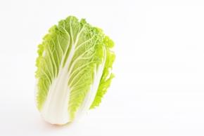 白菜をおいしく長持ちさせる保存方法|丸ごと1玉からカットした場合まで解説