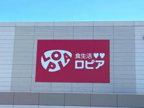 【ロピア】秋スイーツも本格派！たっぷり食べられる至福の「モンブランケーキ」が登場